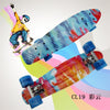 Completed Cruiser Mini Skateboard 22" Graphic Retro Skate Board Deck Fishboard Plastic Skateboard For kids Children