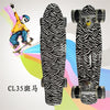 Completed Cruiser Mini Skateboard 22" Graphic Retro Skate Board Deck Fishboard Plastic Skateboard For kids Children