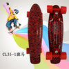 Completed Cruiser Mini Skateboard 22" Graphic Retro Skate Board Deck Fishboard Plastic Skateboard For kids Children
