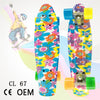 Completed Cruiser Mini Skateboard 22" Graphic Retro Skate Board Deck Fishboard Plastic Skateboard For kids Children