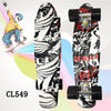 Completed Cruiser Mini Skateboard 22" Graphic Retro Skate Board Deck Fishboard Plastic Skateboard For kids Children