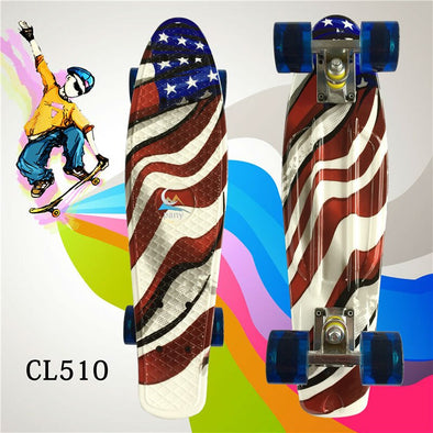 New 22 Inch complete Fish board With good quality and price for Girl and boy to Enjoy the skateboarding Mini rocket board