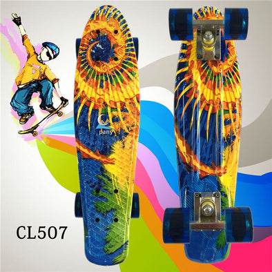 New 22 Inch Good Quality Street board Fish board Or banana board for skater  to Enjoy the skateboarding With Mini rocket board