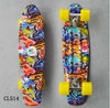 New 22 Inch Good Quality Street board Fish board Or banana board for skater  to Enjoy the skateboarding With Mini rocket board